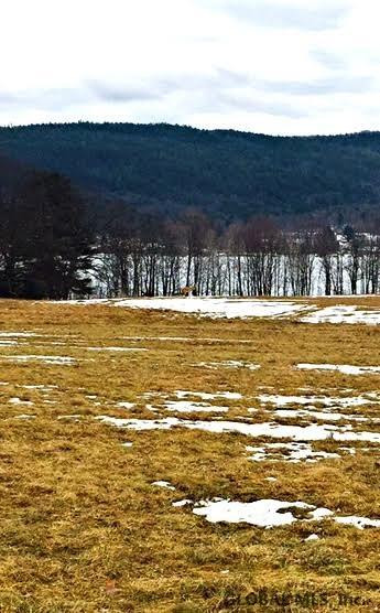 467 Sinclair Road, Unit LOT 5 Edinburg, NY 12134 - Photo 7 of 11 Photo 7