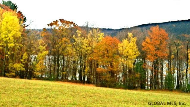 467 Sinclair Road, Unit LOT 5 Edinburg, NY 12134 - Photo 8 of 11 Photo 9