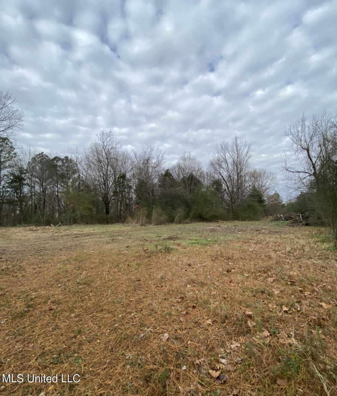 135 Valley View Road Byhalia, MS 38611 - Photo 3 of 4 F1500B44-4AF2-444B-8779-13FA00830A1A