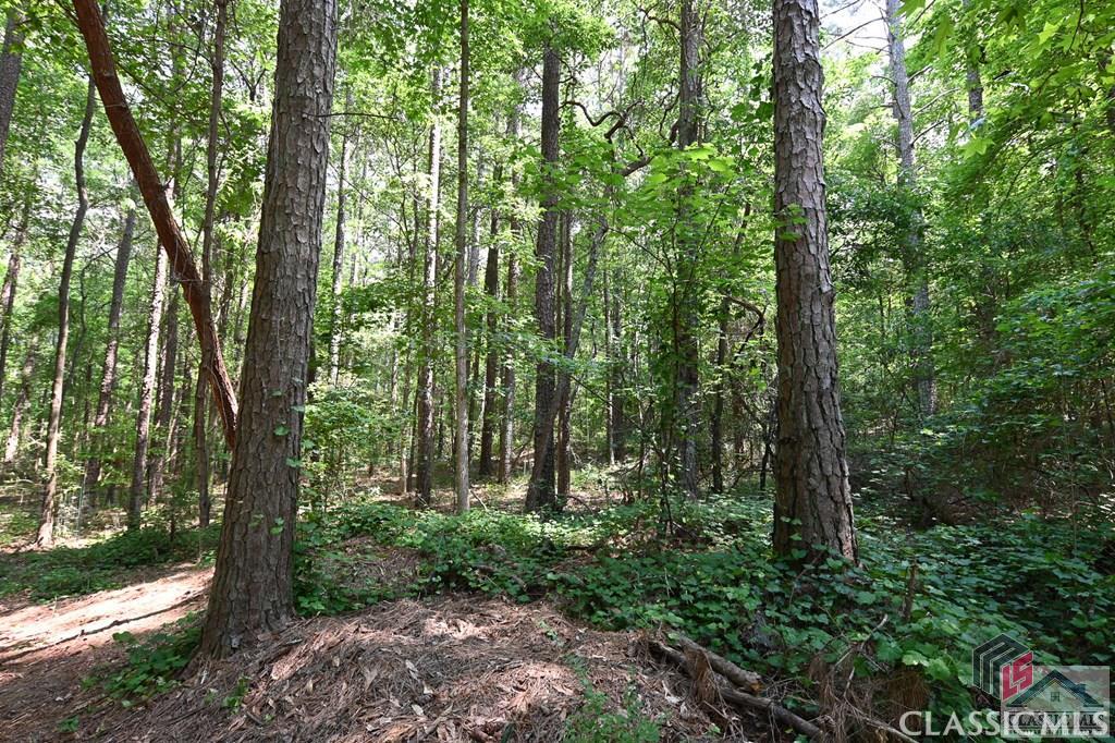 2255 Wall Road Monroe, GA 30656 - Photo 32 of 49 Gallery Image 32