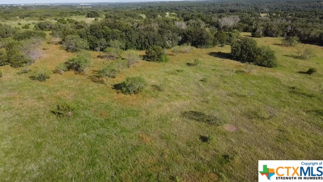 Tbd Tbd Waggener Ranch Road Winters, TX 79567 - Photo 13 of 25 a view of outdoor space and trees