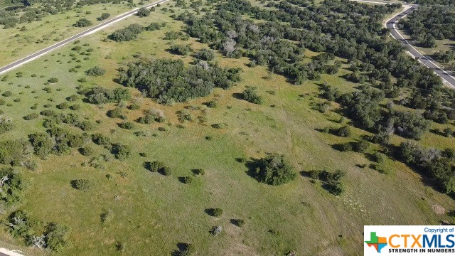 Tbd Tbd Waggener Ranch Road Winters, TX 79567 - Photo 15 of 25 a view of a plant with a plant