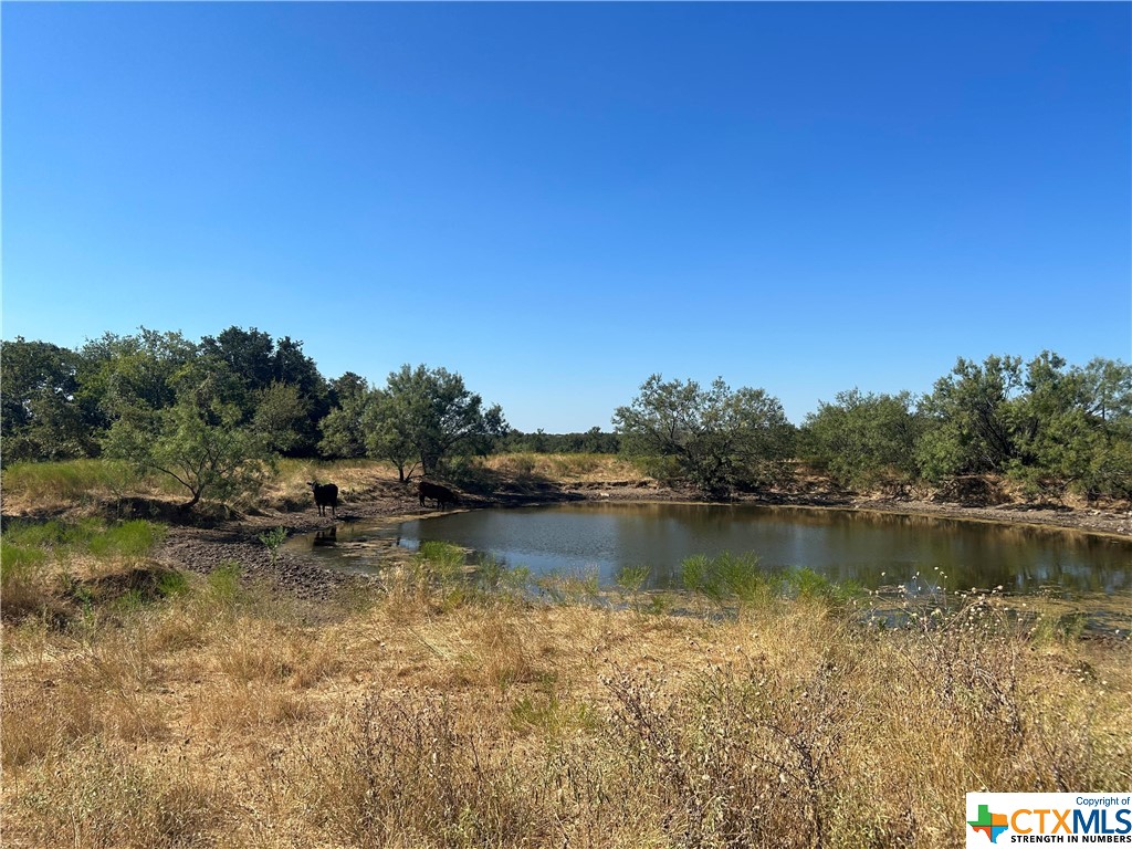 Tbd Tbd Waggener Ranch Road Winters, TX 79567 - Photo 24 of 25 a view of a lake with houses in the back