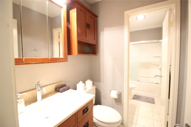 a bathroom with a sink a toilet and vanity