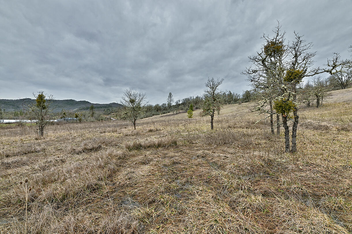 13546 Highway 140 Eagle Point, OR 97524 - Photo 24 of 24 a view of a dry yard with trees