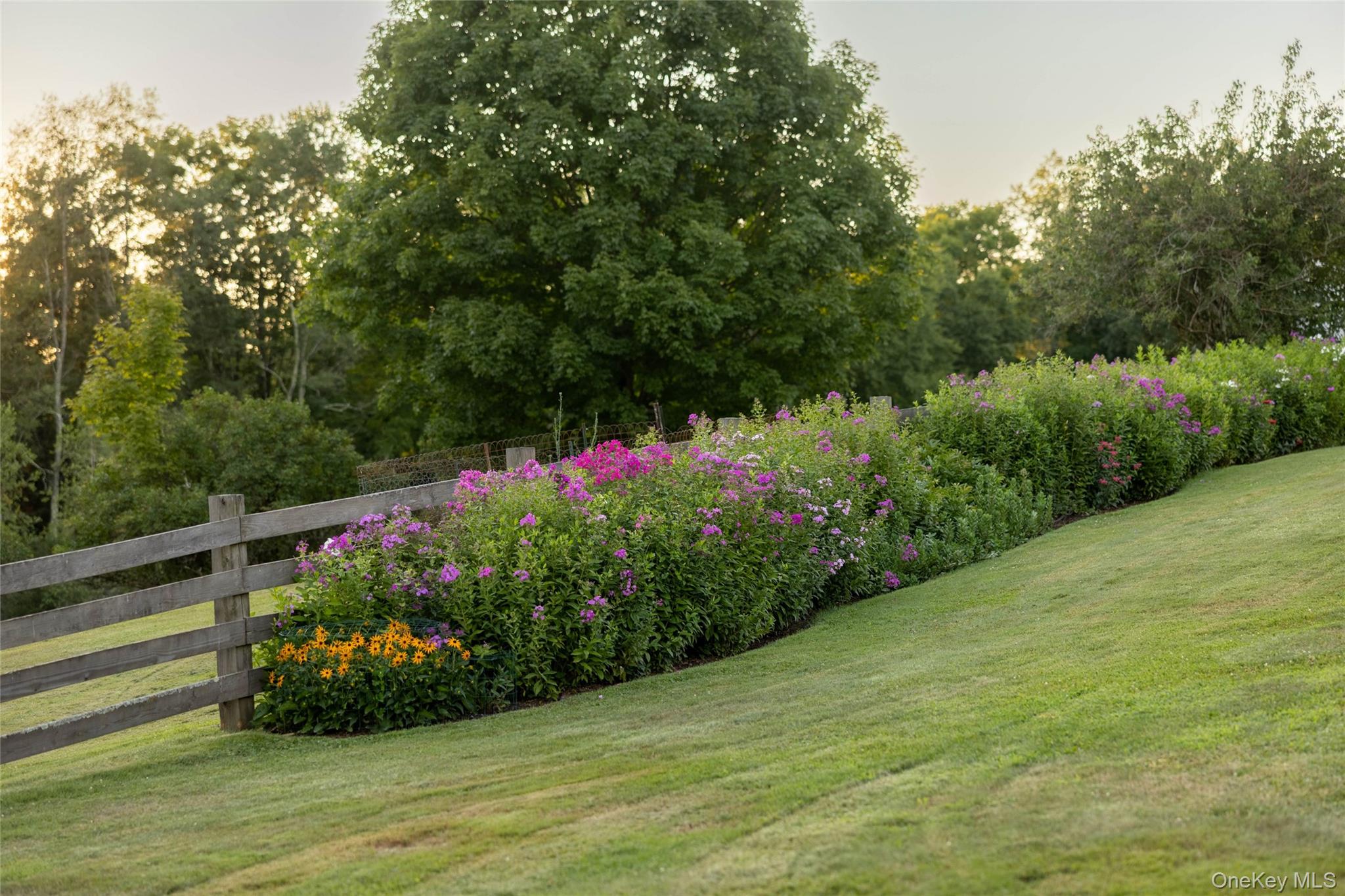 49 Crumley Van Vactor Road Ferndale, NY 12734 - Photo 24 of 50 View of yard