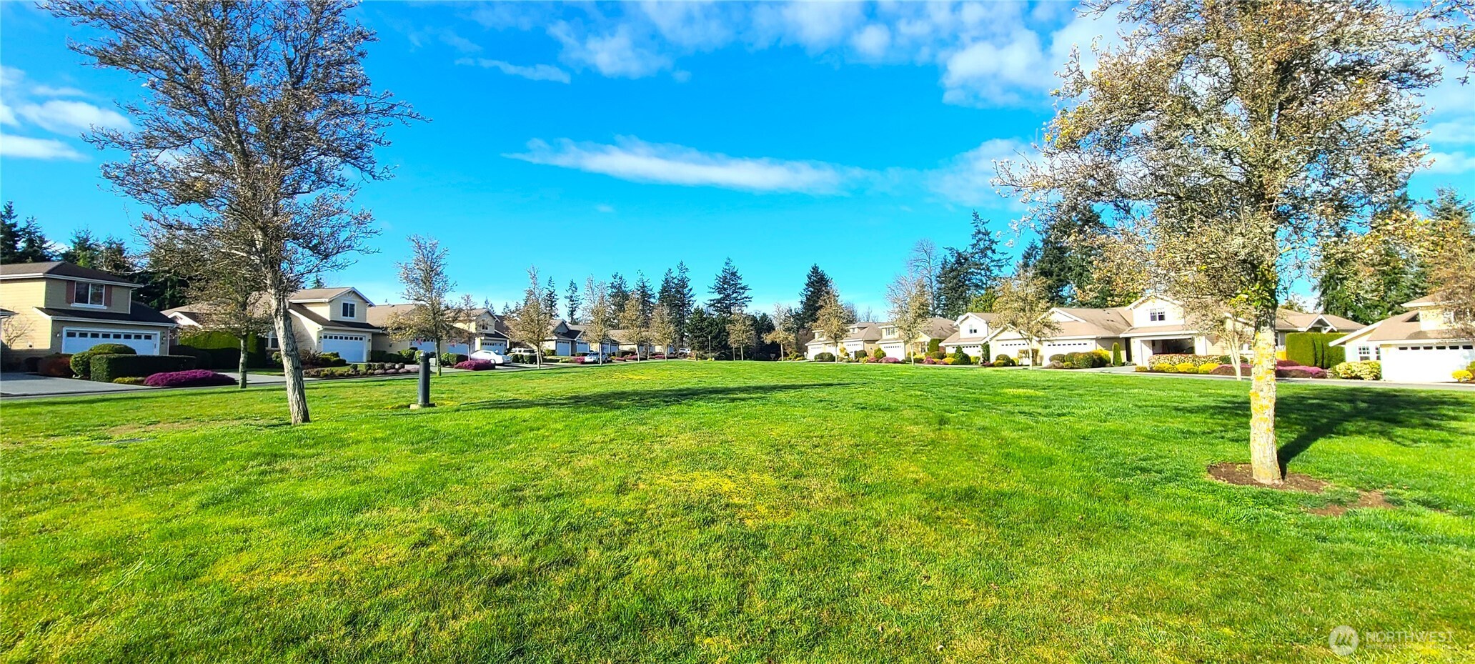 50 Goldenrod Lane Sequim, WA 98382 - Photo 21 of 24 a view of yard with green space