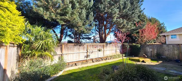 a view of a backyard with a large tree