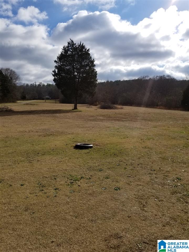 796 Heasletts Road Childersburg, AL 35044 - Photo 13 of 19