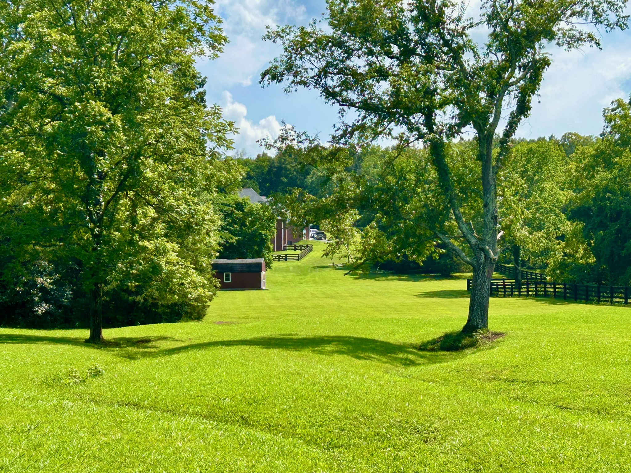 999 St Johns Road Lascassas, TN 37085 - Photo 48 of 56