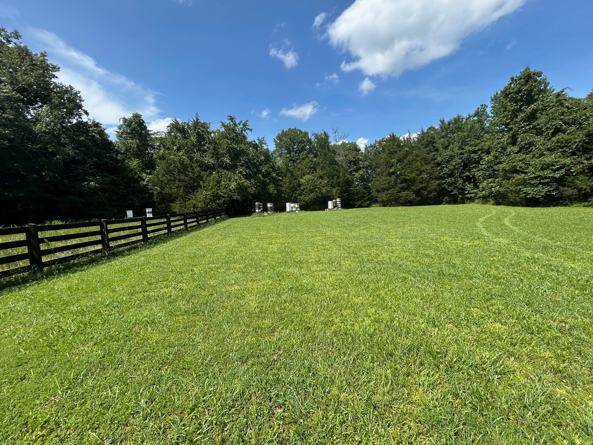 999 St Johns Road Lascassas, TN 37085 - Photo 51 of 56