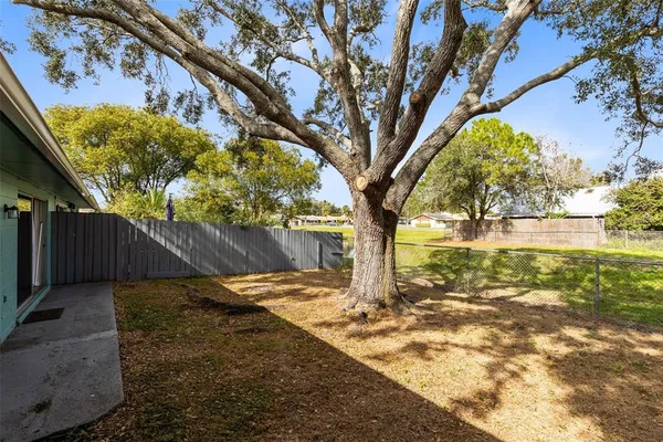 a view of a yard with tree s