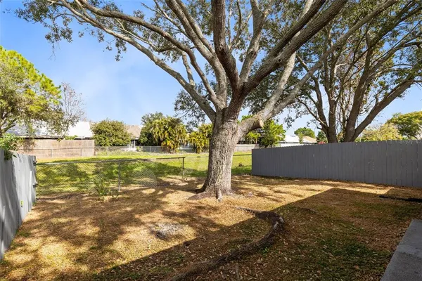 a view of backyard with tree