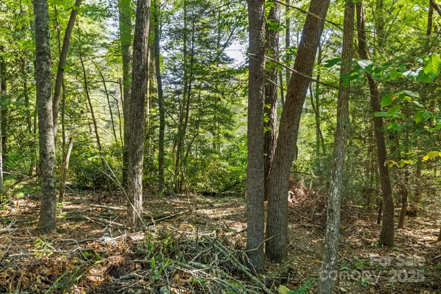 $430,000 | 100 Greenbriar Avenue, Flat Rock, NC 28731