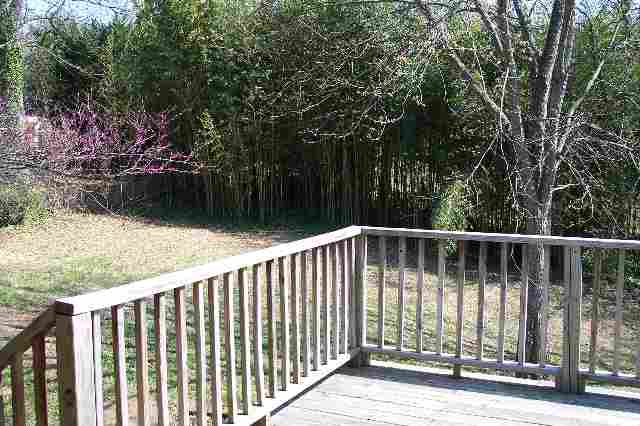 13 Randy Drive Taylors, SC 29687 - Photo 17 of 17 Gallery Image 17