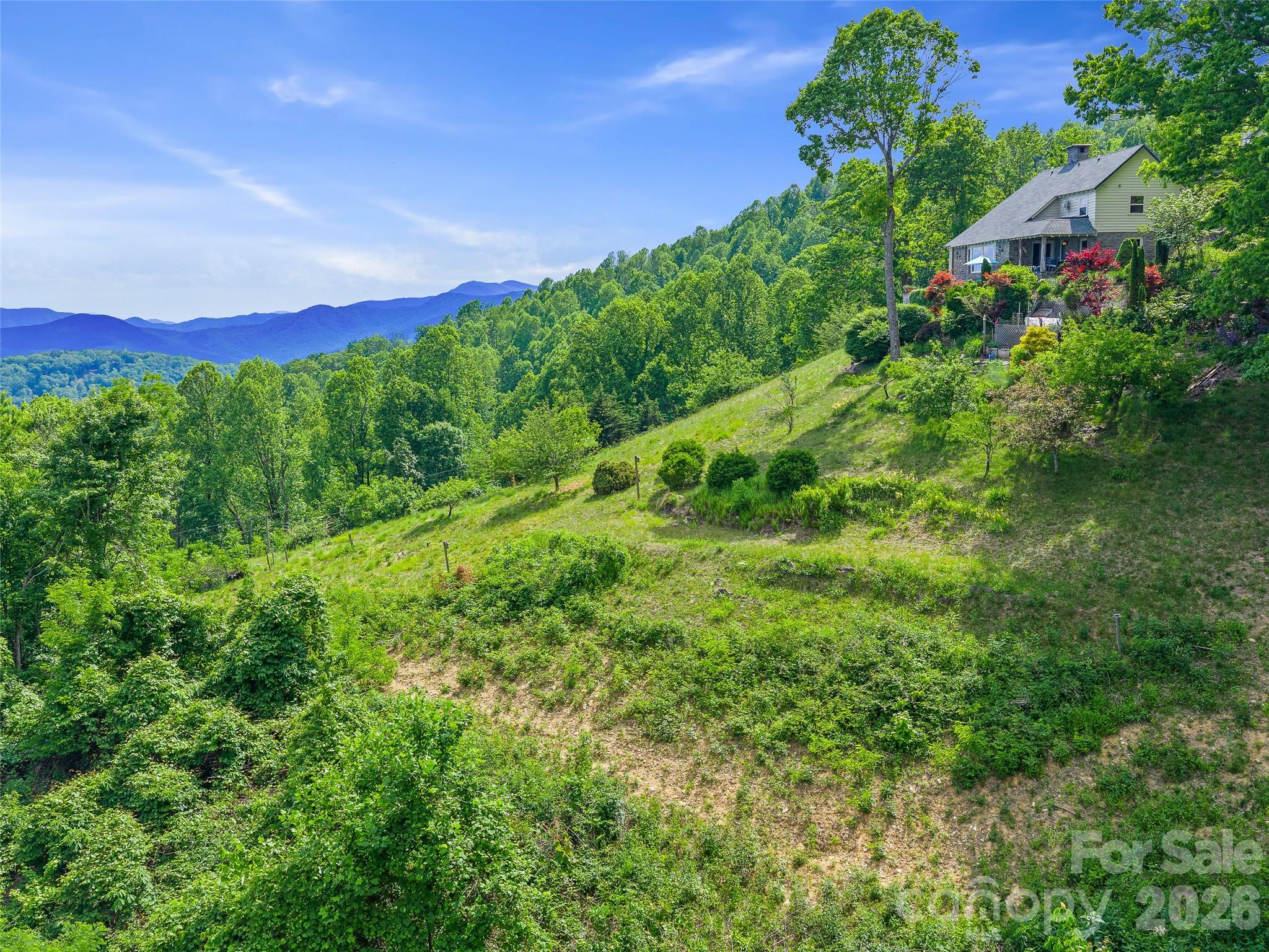 729 Bear Wallow Road Marion, NC 28752 - Photo 46 of 48