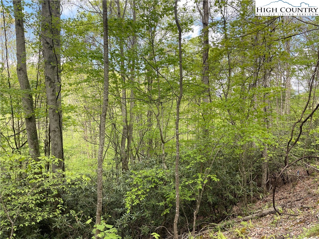 117 Deergrass Road Beech Mountain, NC 28604 - Photo 2 of 3