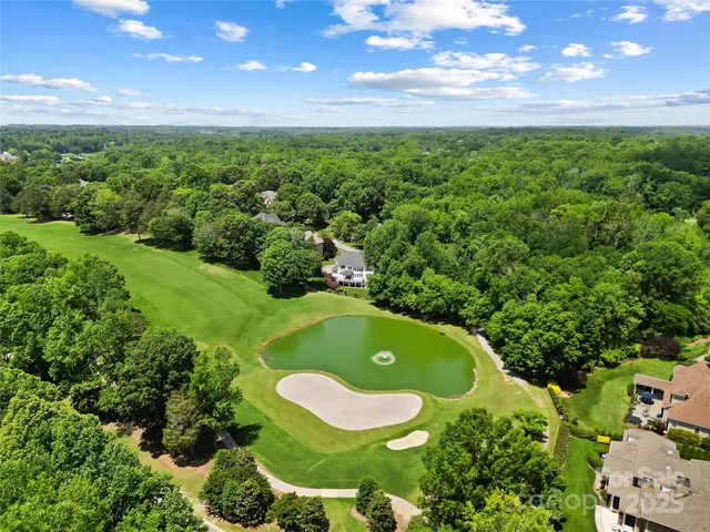 a view of a green yard