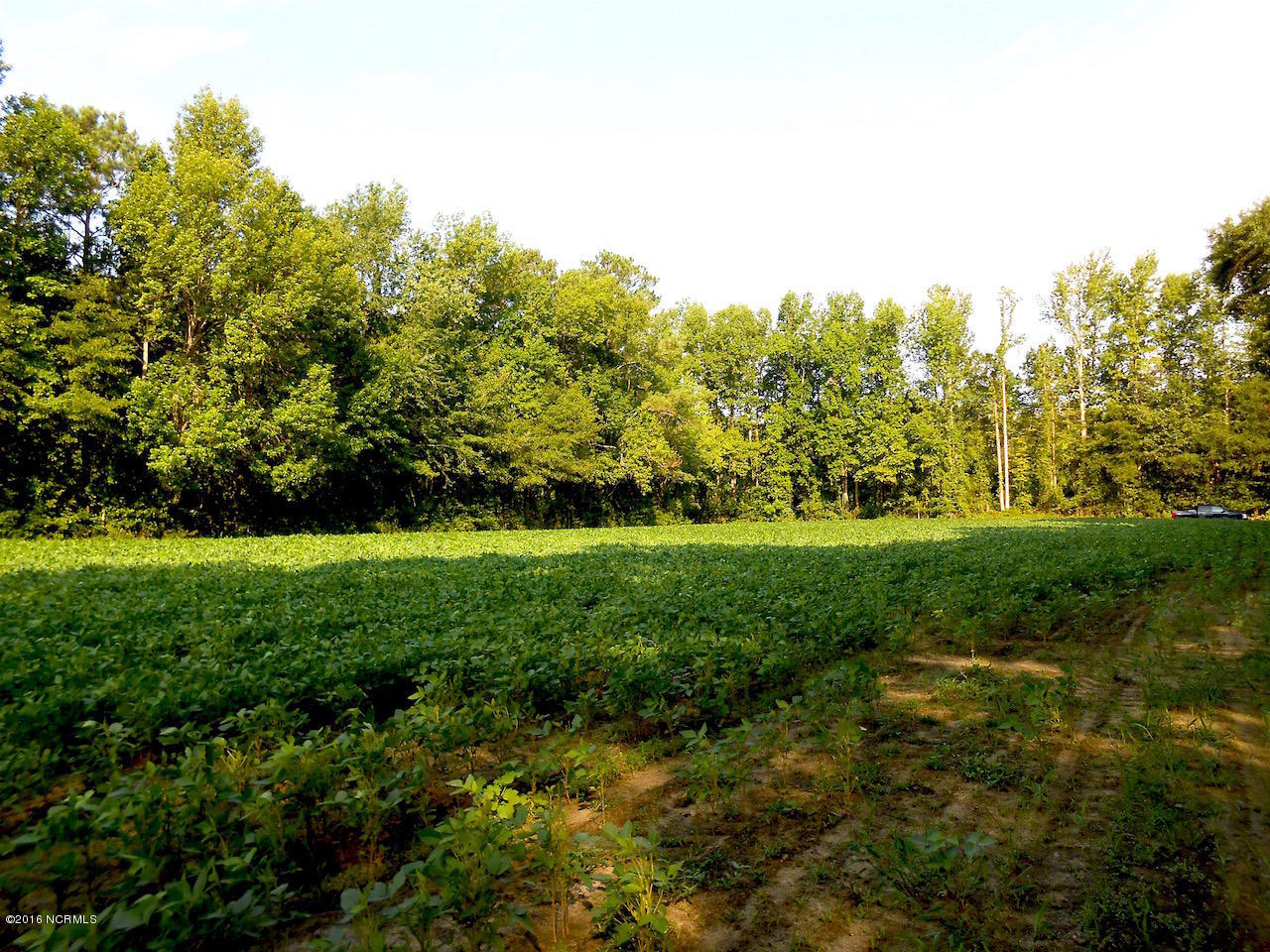 1223 Cutoff Road Williamston, NC 27892 - Photo 5 of 17 DSCN2337