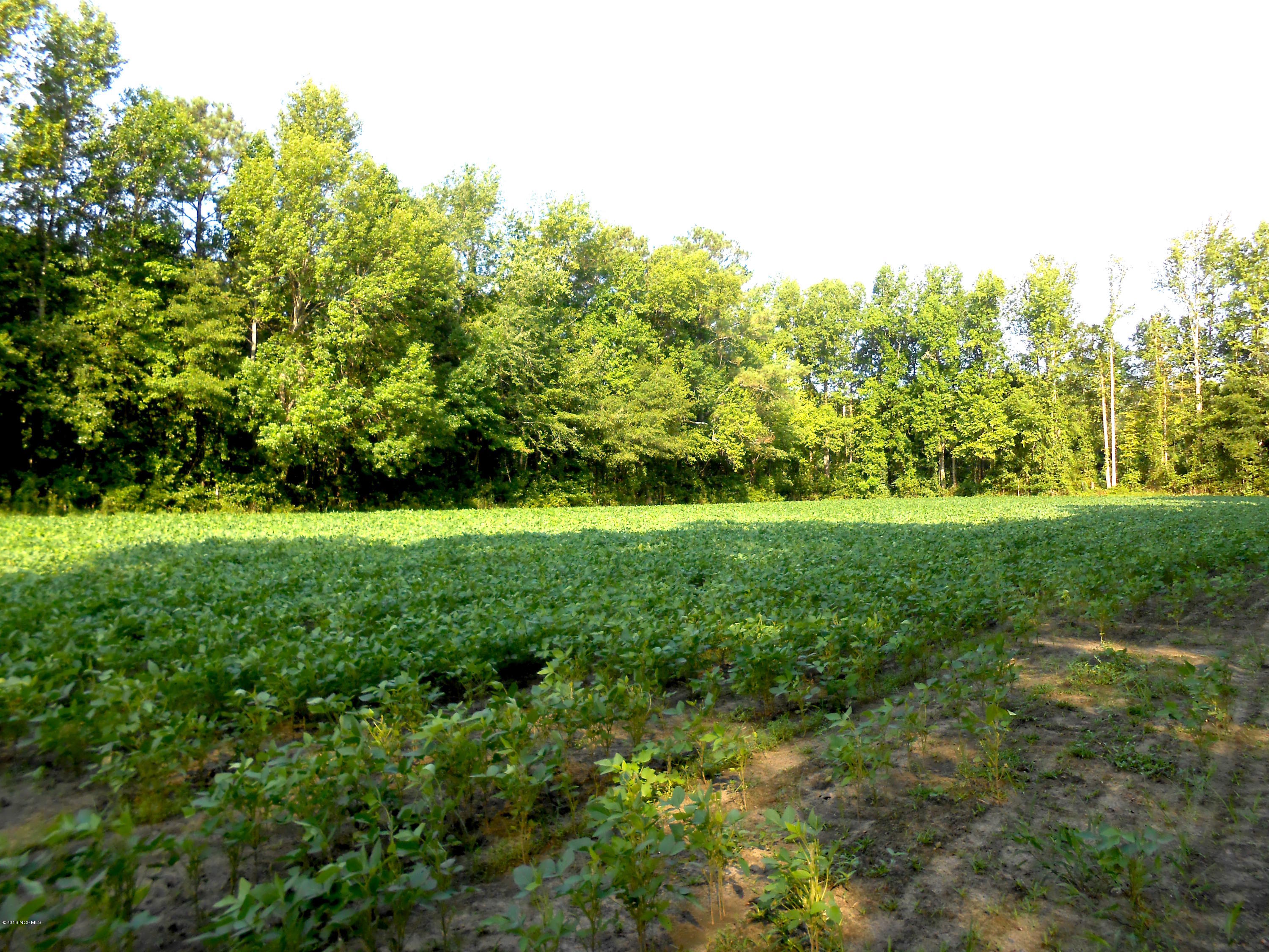 1223 Cutoff Road Williamston, NC 27892 - Photo 7 of 17 DSCN2339