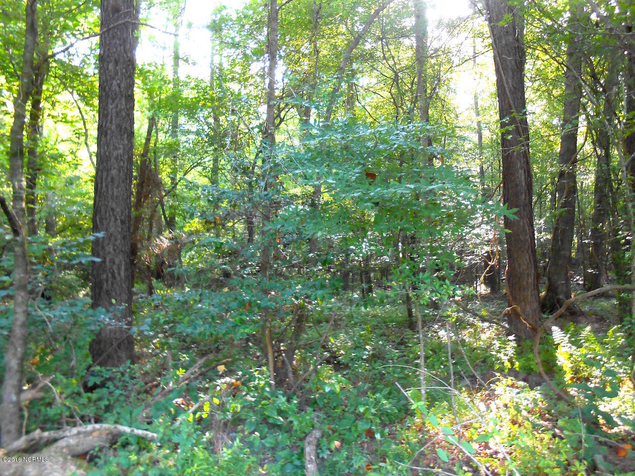 1223 Cutoff Road Williamston, NC 27892 - Photo 9 of 17 DSCN2341