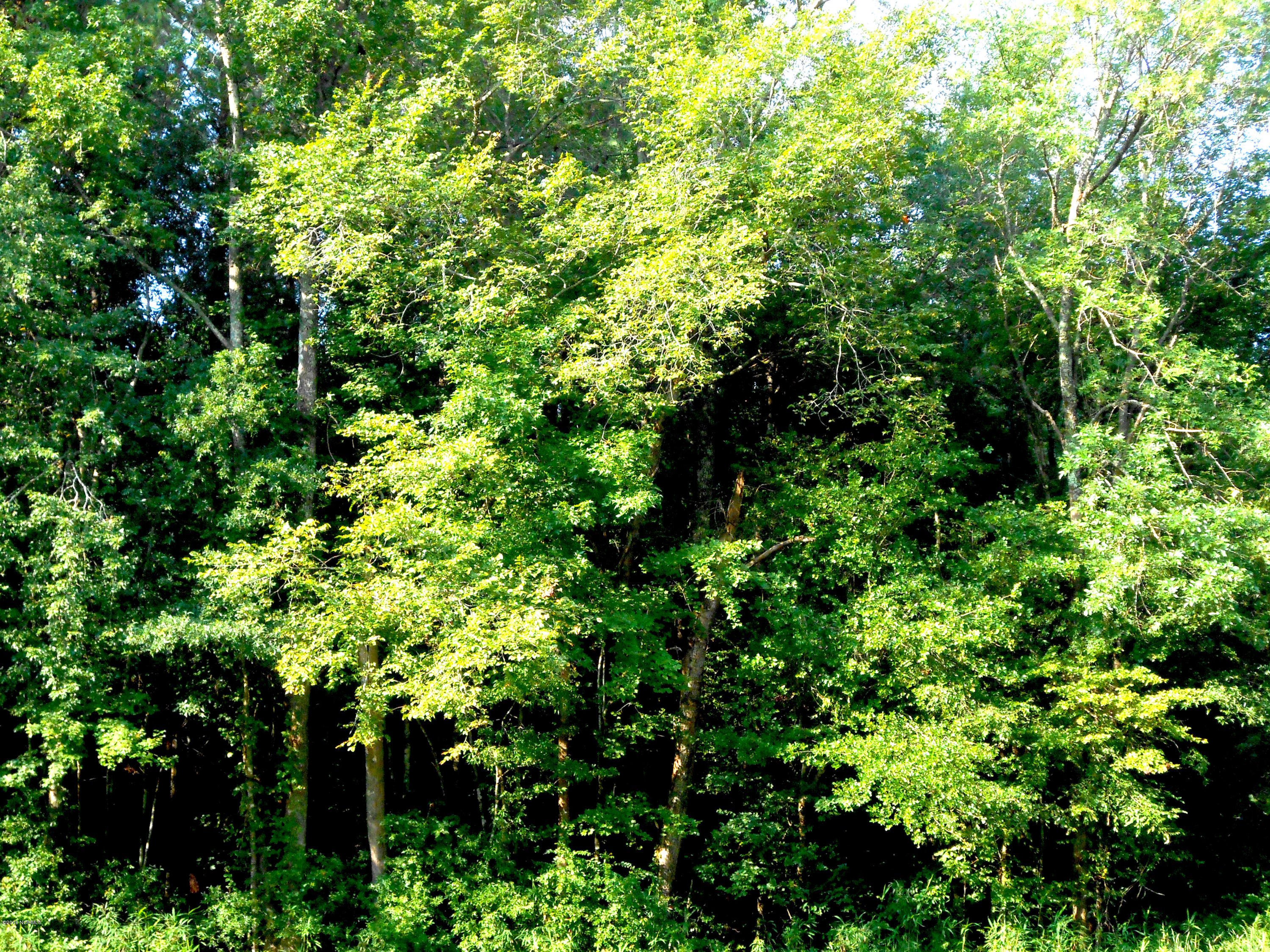 1223 Cutoff Road Williamston, NC 27892 - Photo 10 of 17 DSCN2342