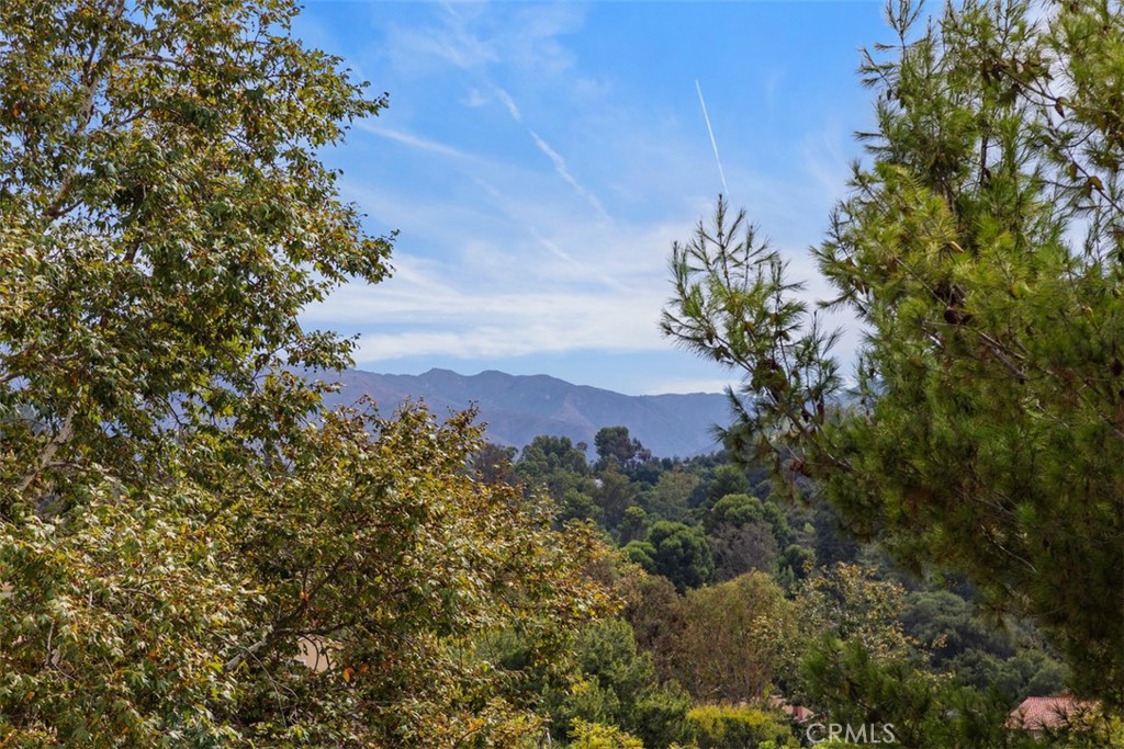 22182 Platino Mission Viejo, CA 92691 - Photo 16 of 18 a view of a yard with a tree