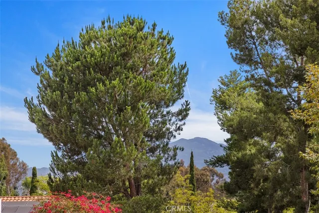 a view of a yard with a tree