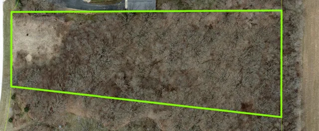 a view of a dry yard