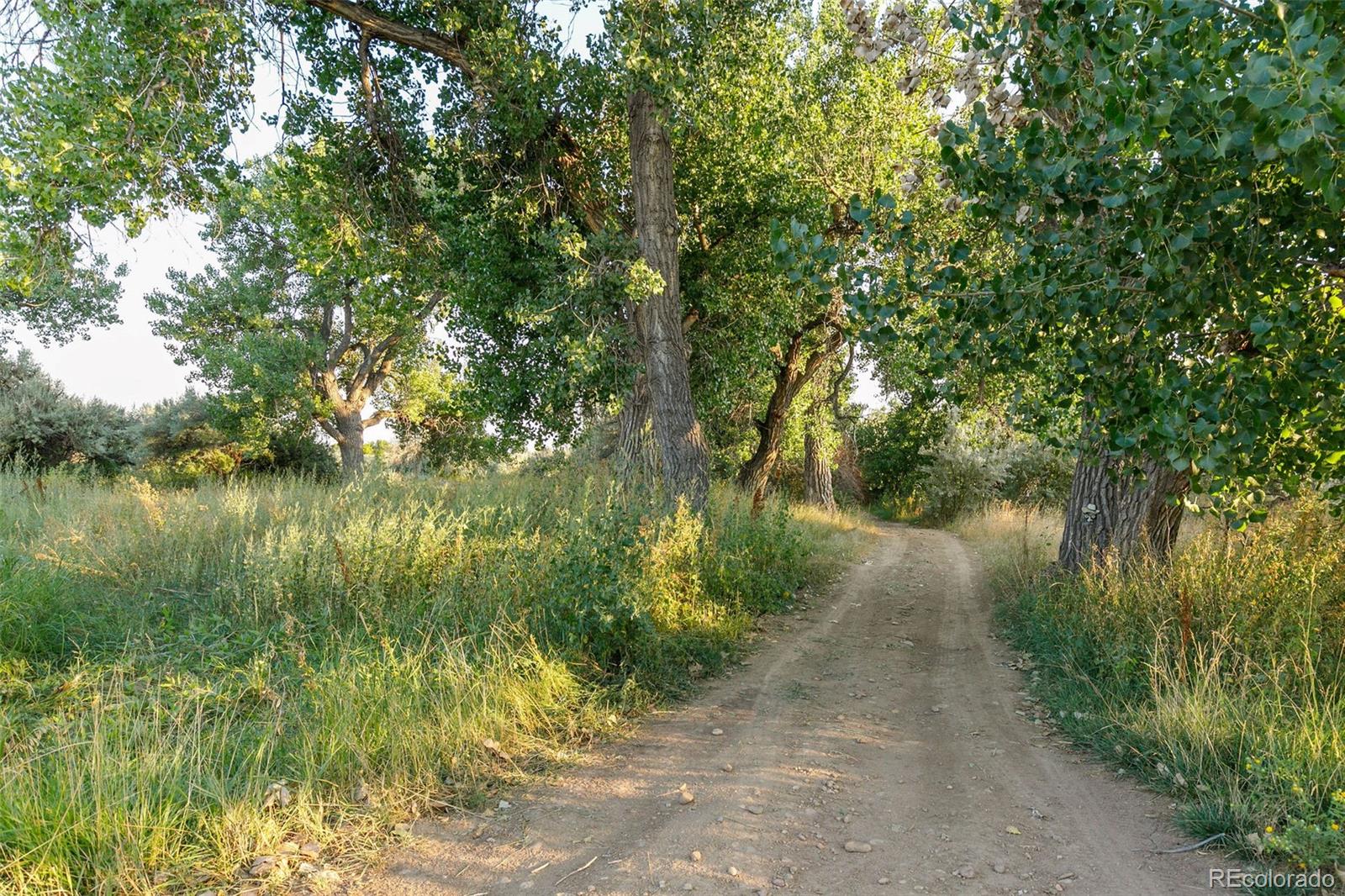 11724 Kenosha Road Longmont, CO 80504 - Photo 40 of 49