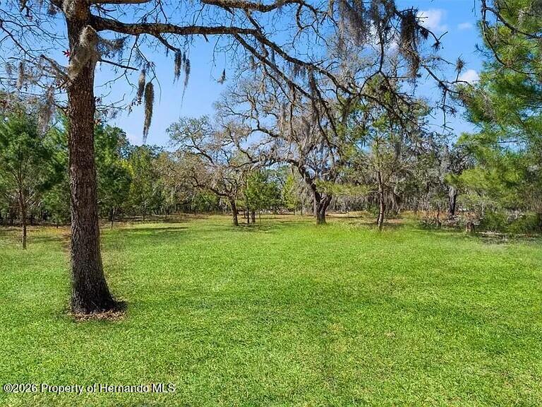 12222 Beagle Road Hudson, FL 34667 - Photo 29 of 29 41fa5fce6c071d8f4070133b5f46ba70-cc_ft_7