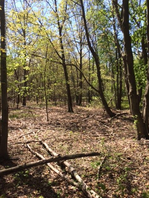 0 Texas Road Morganville, NJ 07751 - Photo 1 of 1 0 Texas pic