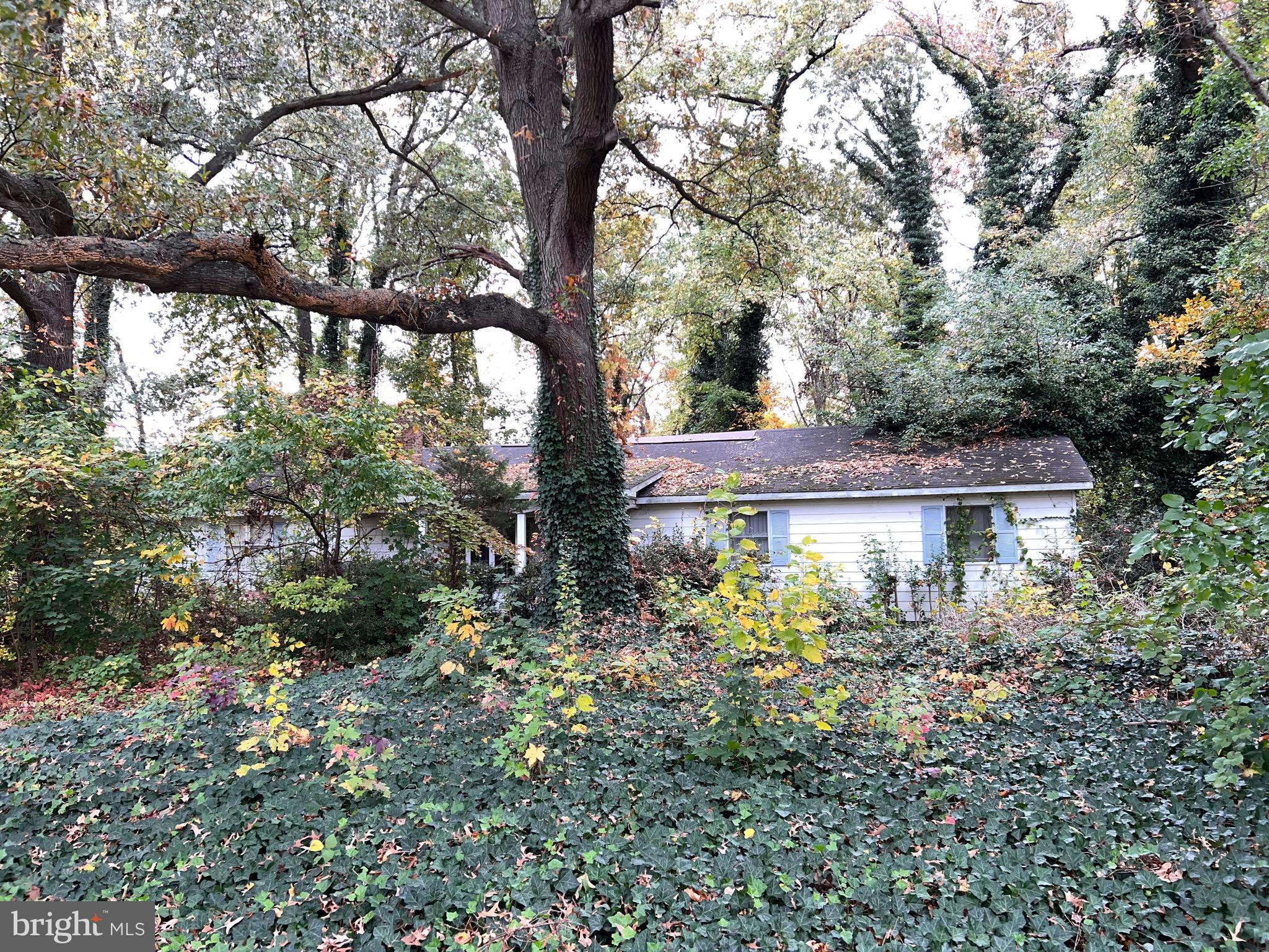 a view of house with a tree in the background