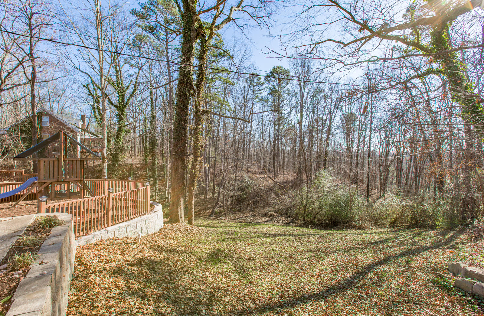807 Crown Point Road West Signal Mountain, TN 37377 - Photo 36 of 36 Back Yard