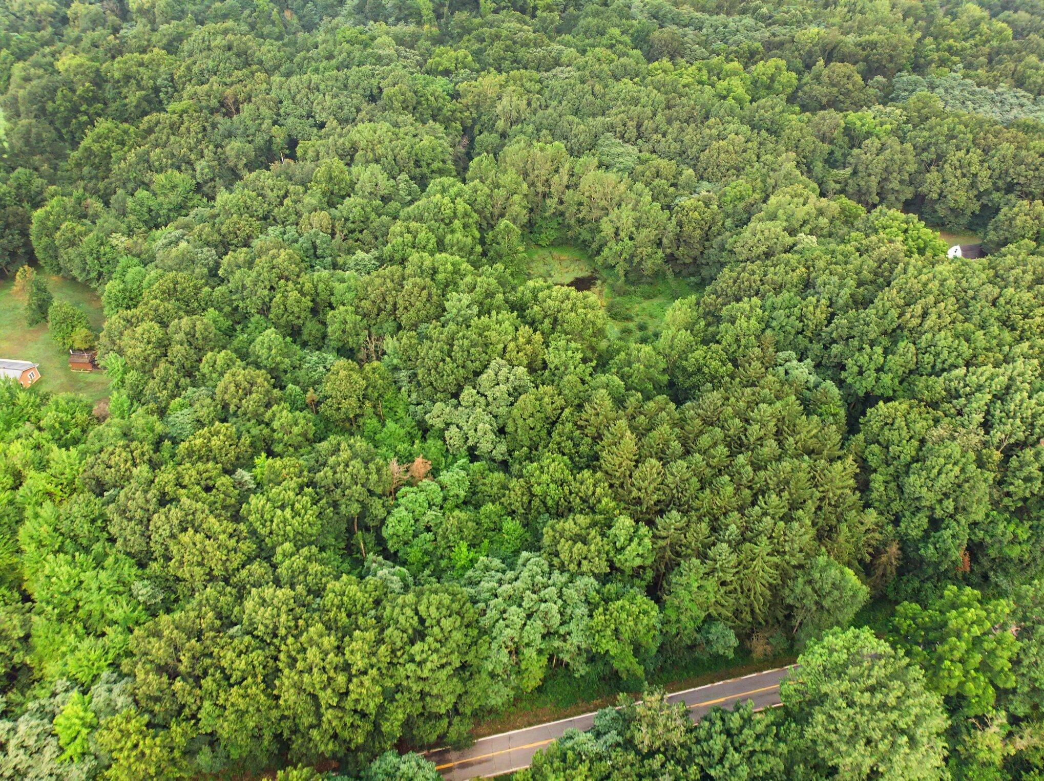 0 Gumwood Road Niles, MI 49120 - Photo 9 of 18 dji_0966-14