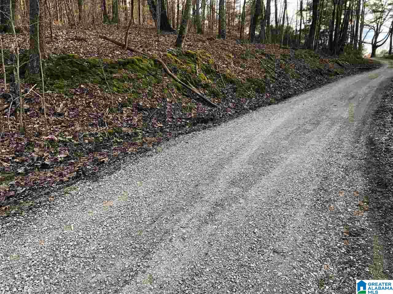0 Drake Drive Springville, AL 35146 - Photo 3 of 23