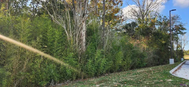 $350,000 | Tbd Greenwell Springs Road, Baton Rouge, LA 70814