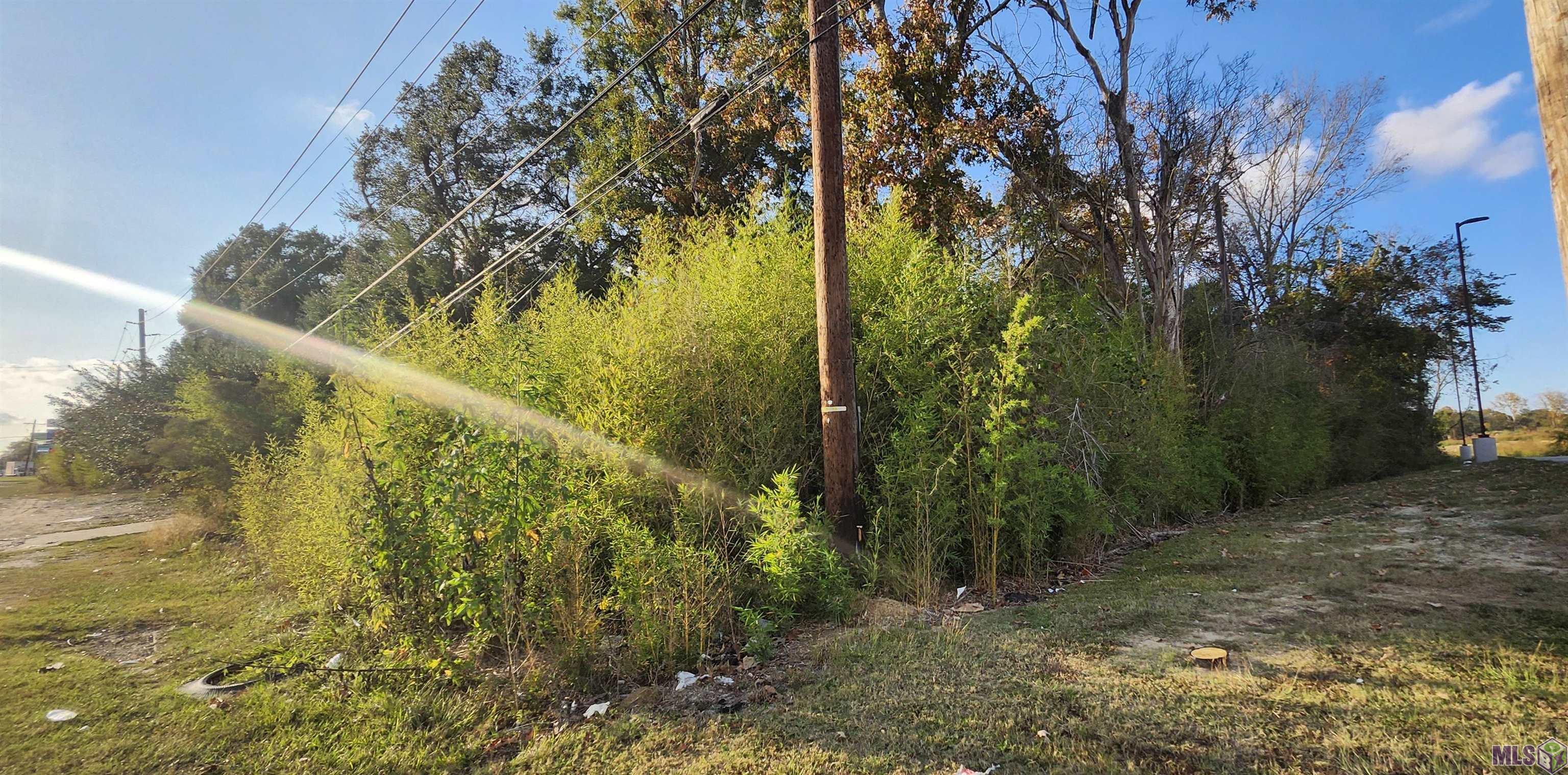 Tbd Greenwell Springs Road Baton Rouge, LA 70814 - Photo 2 of 7