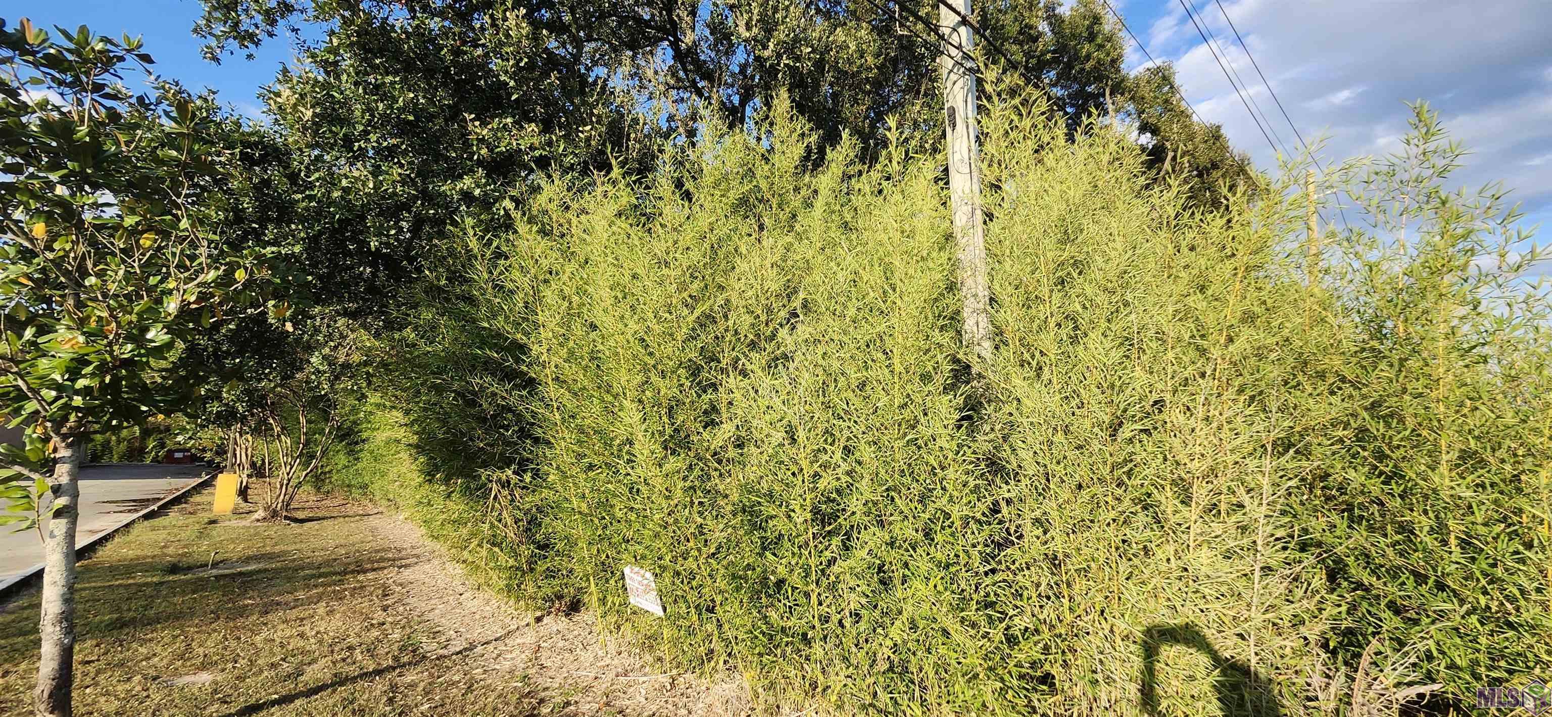 Tbd Greenwell Springs Road Baton Rouge, LA 70814 - Photo 4 of 7