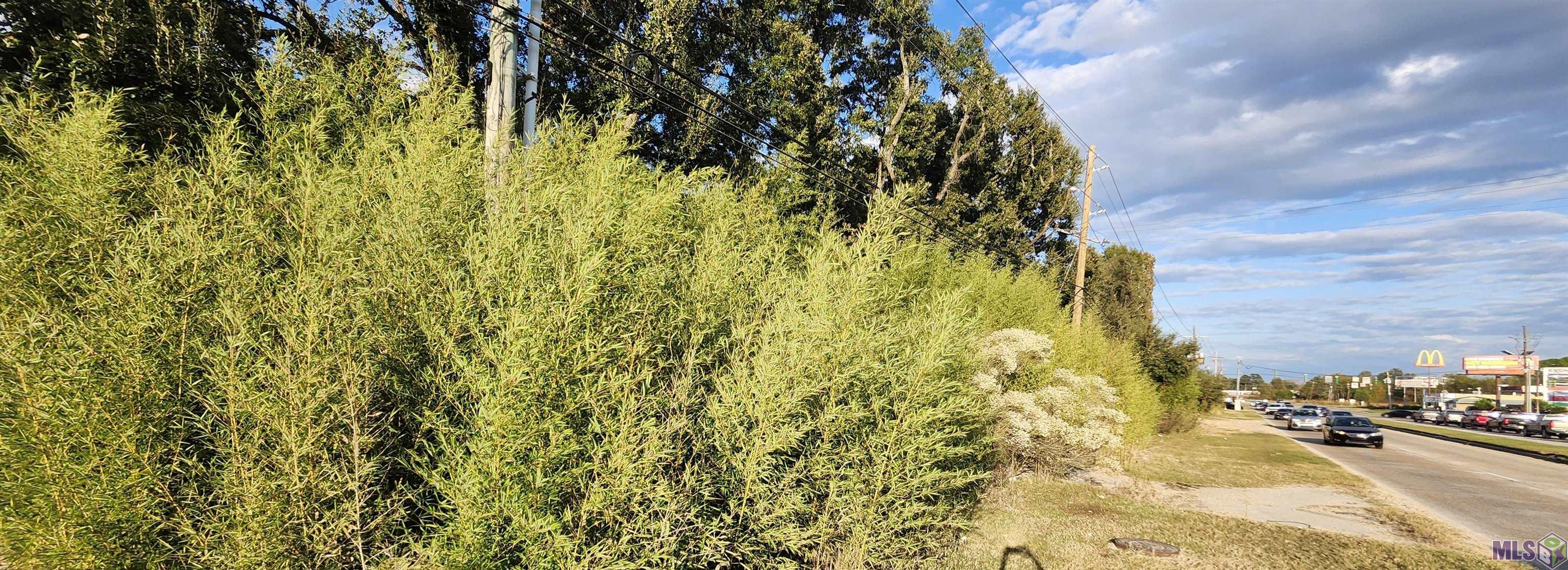 Tbd Greenwell Springs Road Baton Rouge, LA 70814 - Photo 5 of 7