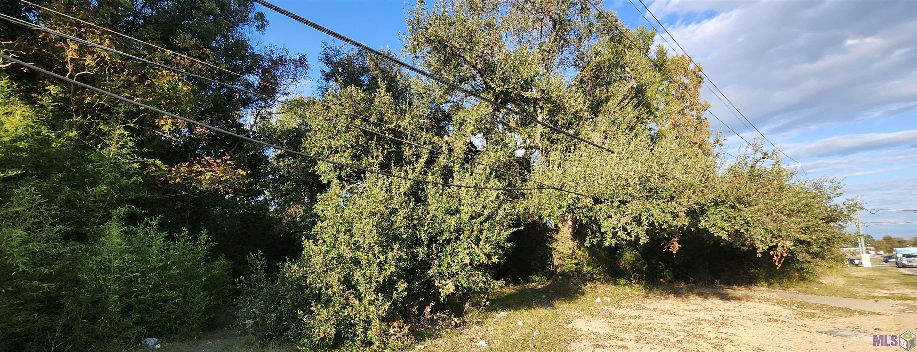 Tbd Greenwell Springs Road Baton Rouge, LA 70814 - Photo 6 of 7