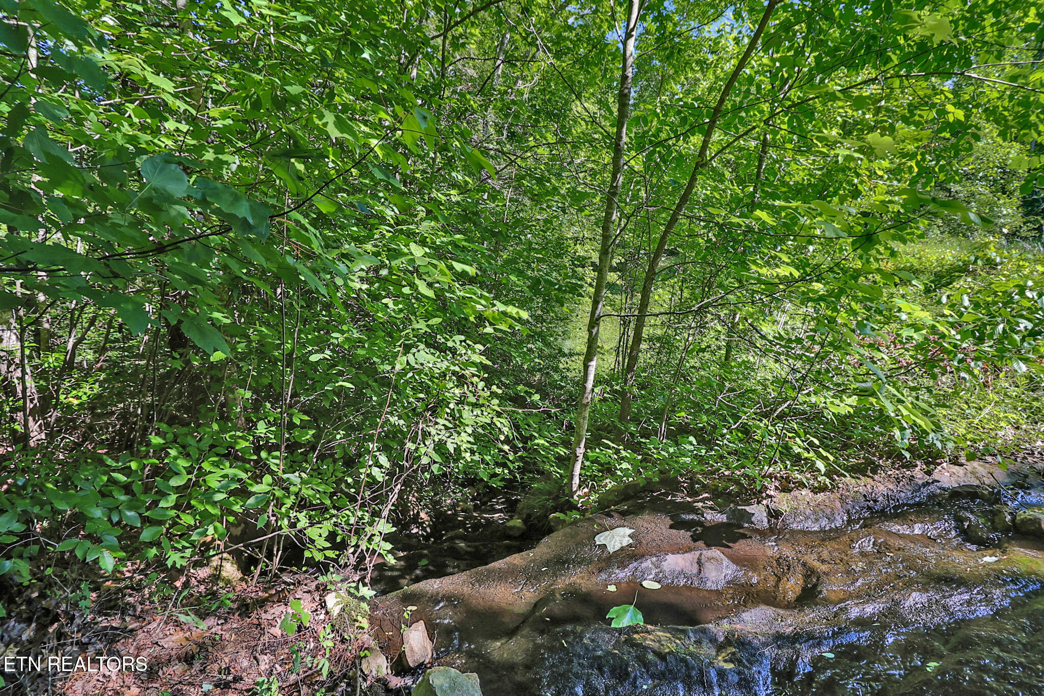 101 Duncan Hinds Road Jamestown, TN 38556 - Photo 36 of 59 Pond and waterfall
