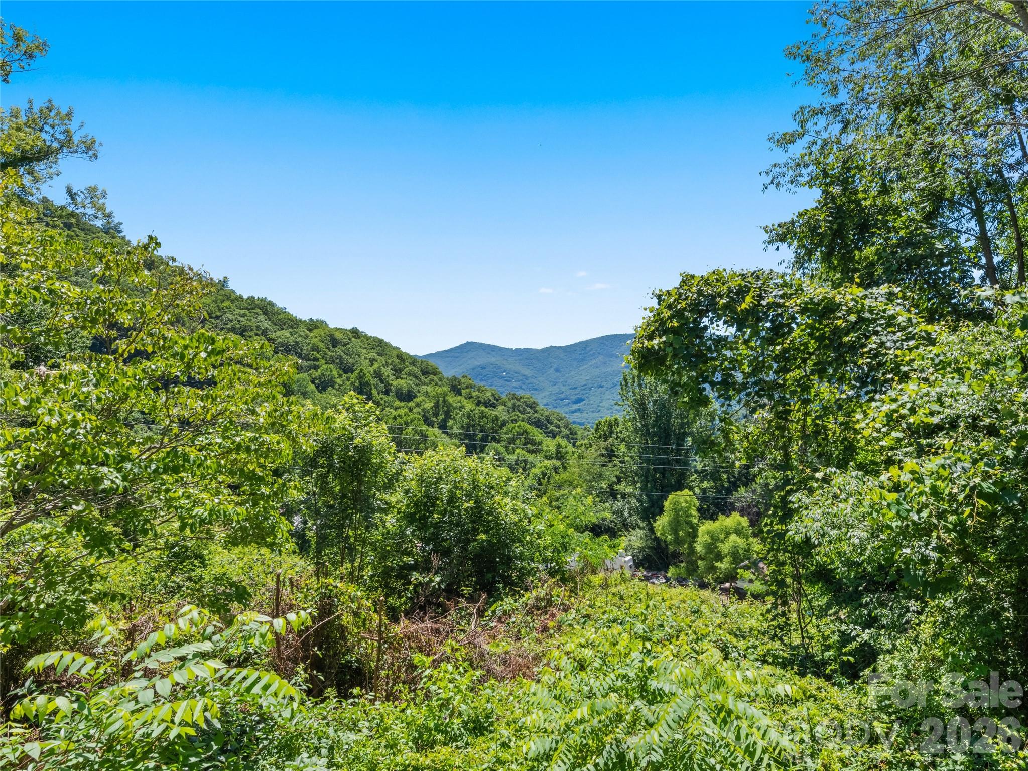 115 Slick Rock Ridge Maggie Valley, NC 28751 - Photo 18 of 18