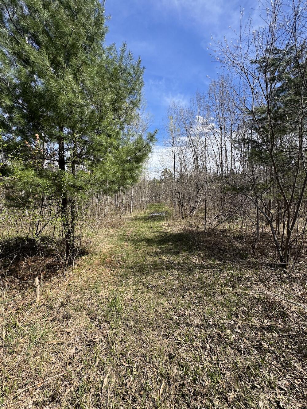 Vl Curtisville Road Mio, MI 48647 - Photo 45 of 141 IMG_2270