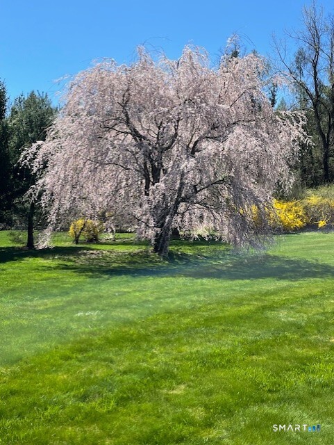 11 Nature Trail Hamden, CT 06518 - Photo 28 of 28 a view of a golf course