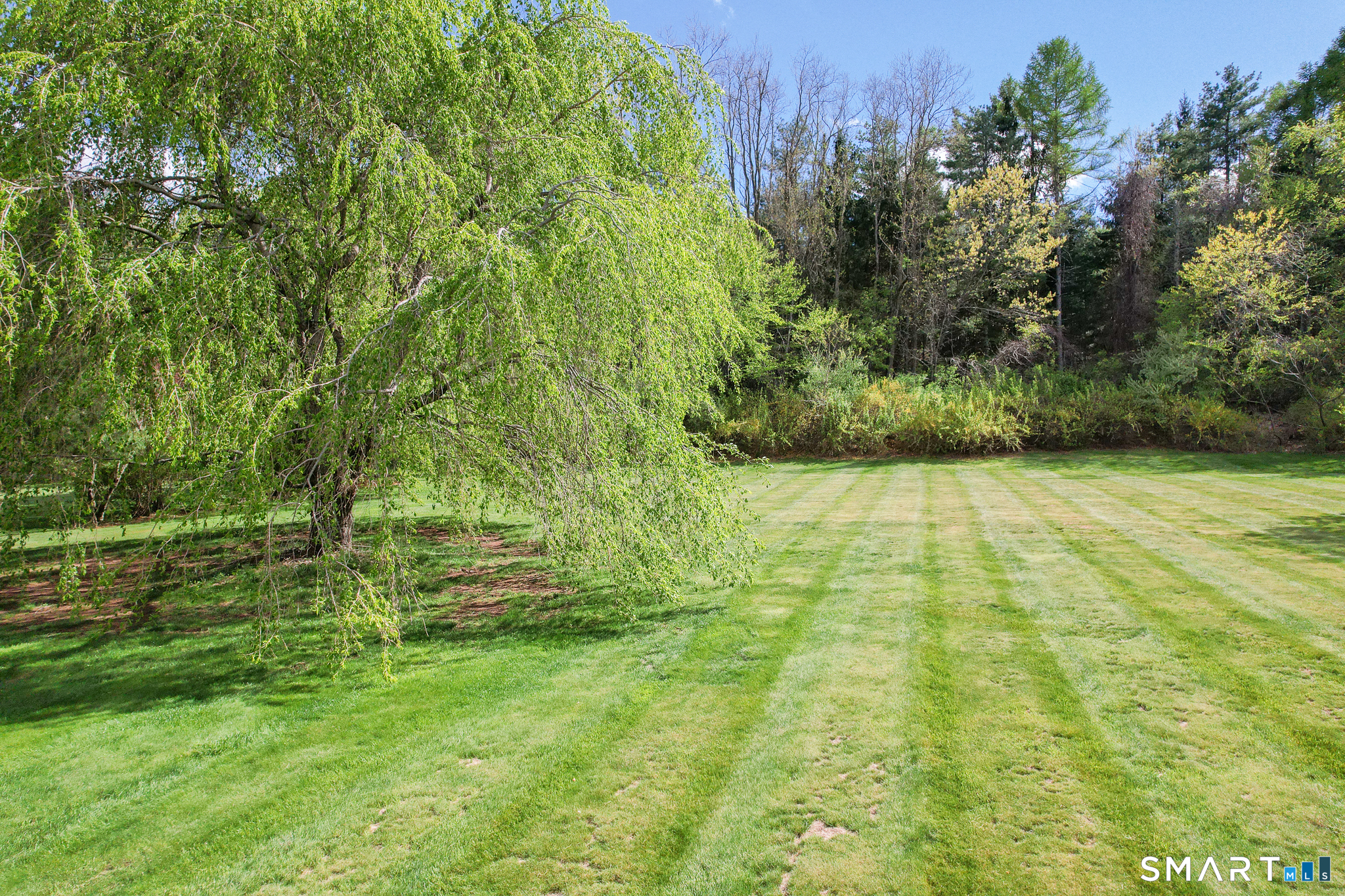 11 Nature Trail Hamden, CT 06518 - Photo 8 of 34 a view of yard with green space