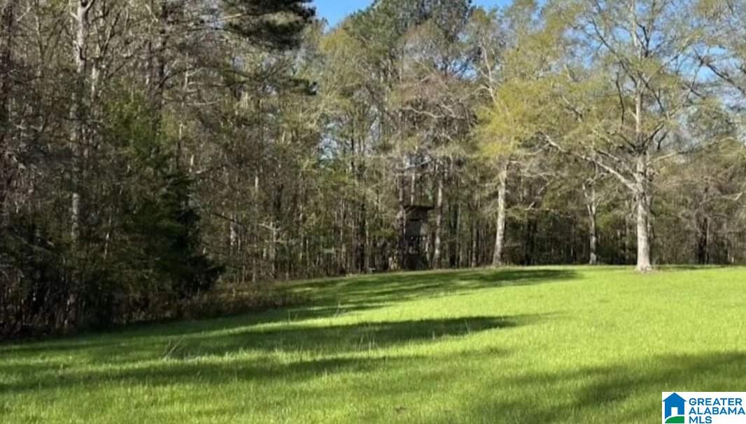 2 Route, Unit 1 Wetumpka, AL 36092 - Photo 1 of 1