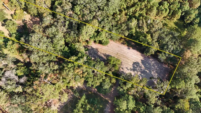 $90,000 | 1309 Cook Road, Lamont, FL 32336