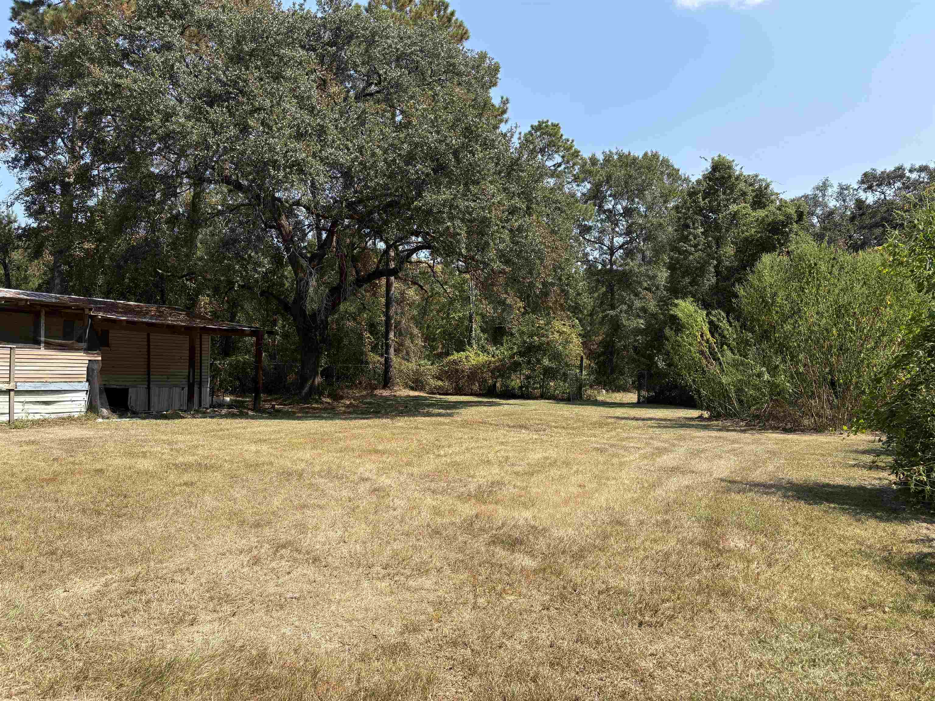 1309 Cook Road Lamont, FL 32336 - Photo 3 of 11