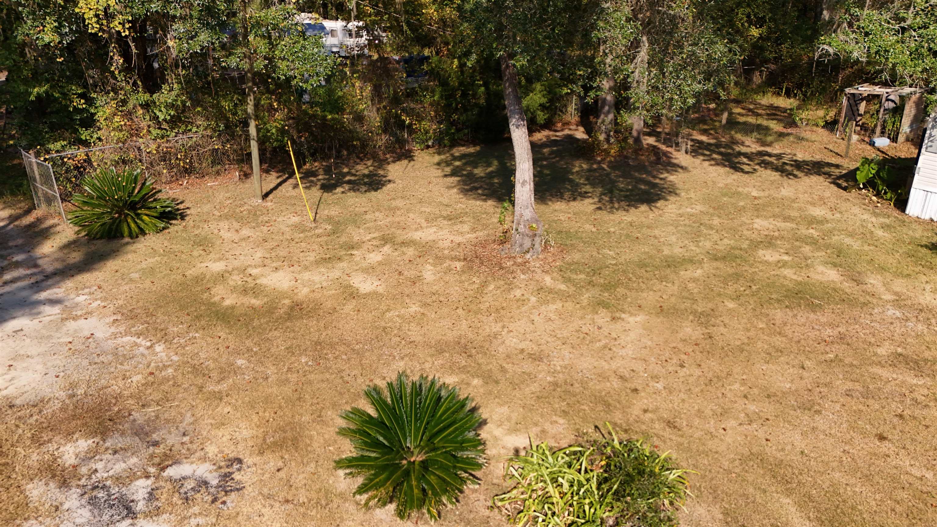 1309 Cook Road Lamont, FL 32336 - Photo 8 of 11